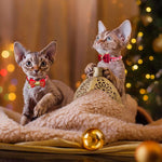 Collare per gatti Tema Natale - yourpetstores.com