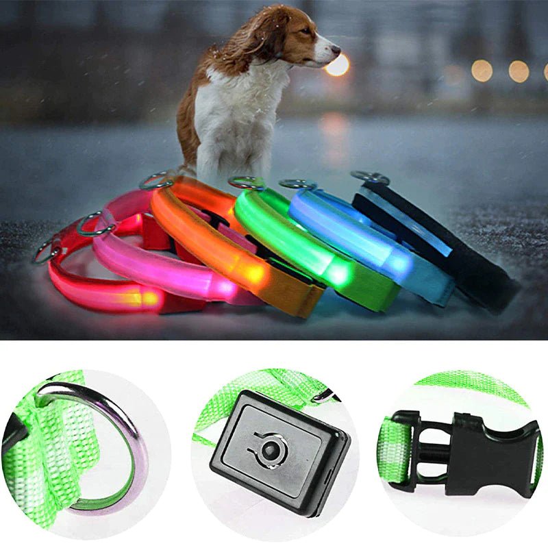 Collarino per cani a LED.