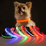 Collarino per cani a LED.