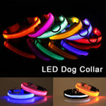 Collarino per cani a LED.