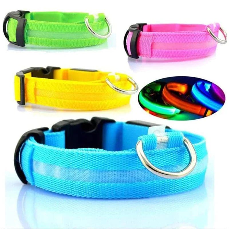 Collarino per cani a LED - yourpetstores.com