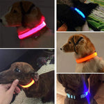 Collarino per cani a LED.