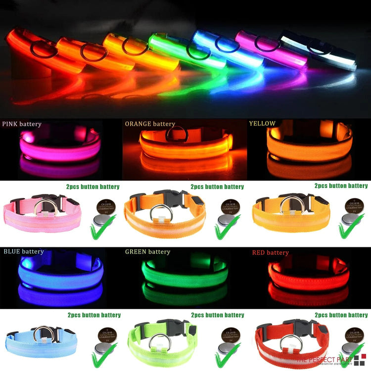 Collarino per cani a LED - yourpetstores.com