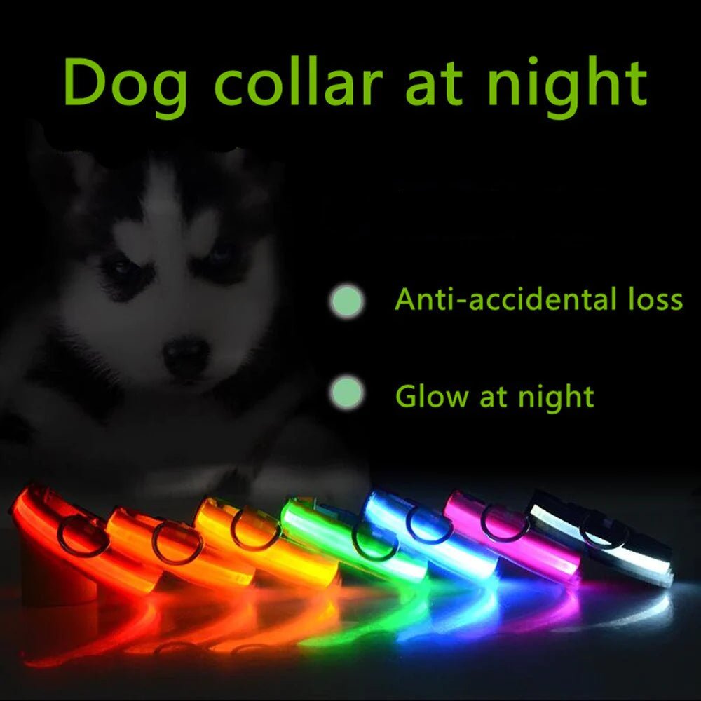 Collarino per cani a LED.