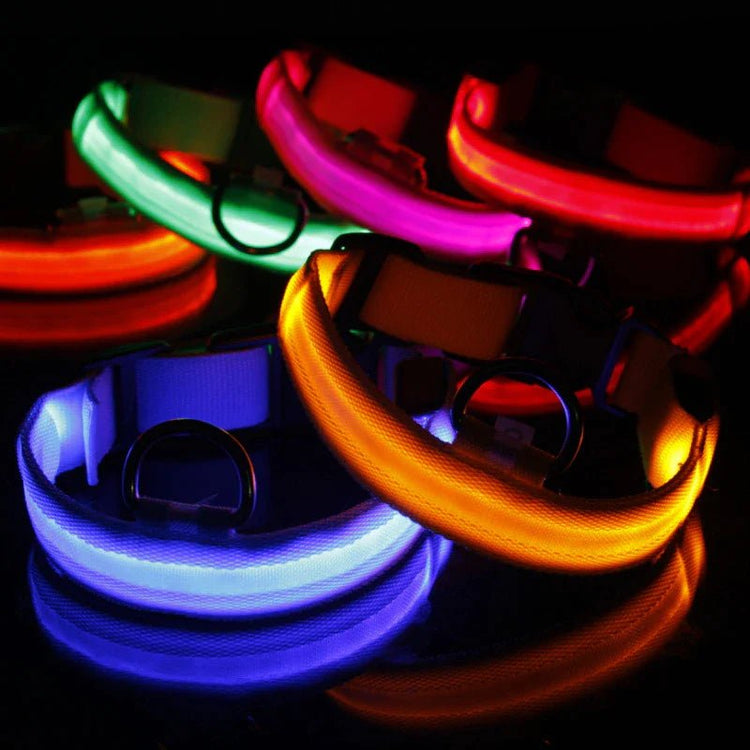 Collarino per cani a LED - yourpetstores.com