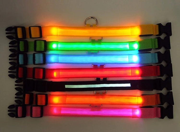 Collarino per cani a LED.