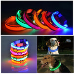 Collarino per cani a LED.