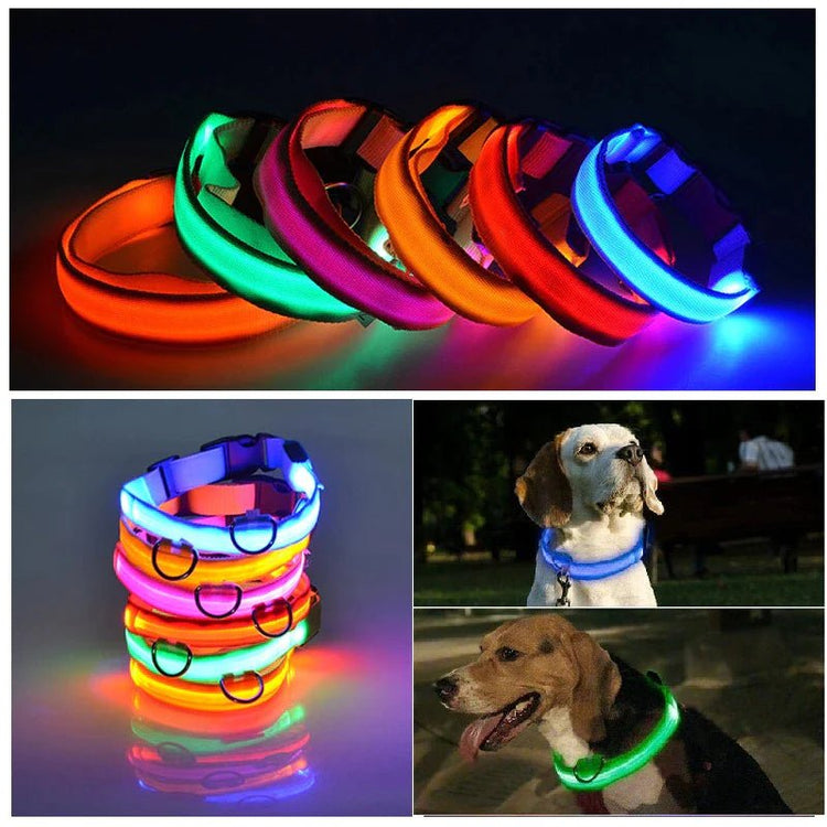 Collarino per cani a LED.