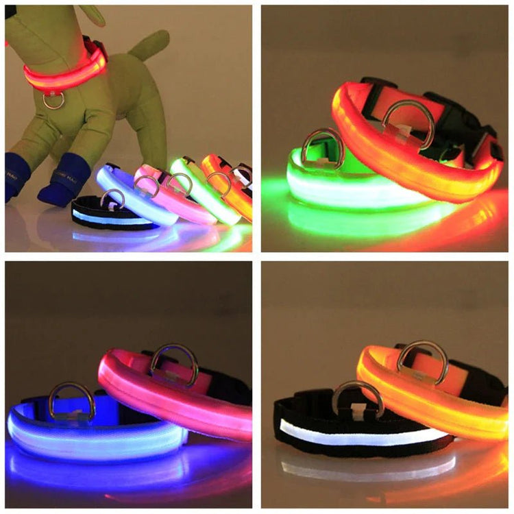 Collarino per cani a LED - yourpetstores.com